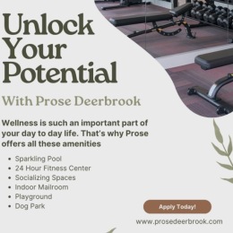 workout equipment and information about property